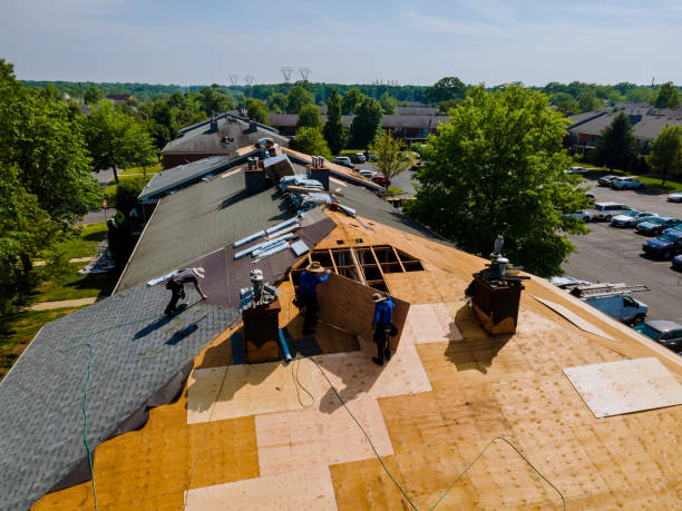 24/7 Emergency Metal Roofing experts in Duson, LA
